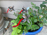 Small Venus Fly Trap Garden Sculpture by Artist Fred Conlon of Sugarpost