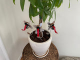Small Venus Fly Trap Garden Sculpture by Artist Fred Conlon of Sugarpost