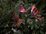 Butterfly Small Set Of Three - Copper Sculpture by Haw Creek Forge
