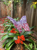 Butterfly, Large, Ceramic, purple and red by JJ Potts