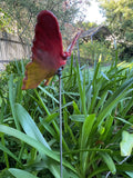 Butterfly, Large, Ceramic (red and yellow) by JJ Potts