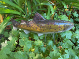 Trout - Brown, Ceramic Fish Garden Sculpture by JJ Potts