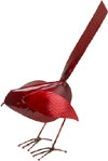 Copper Bird Standing