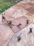 Stretching Cat With Mice Sets