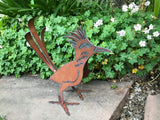 Roadrunner Bird Garden Art by Henry Dupere