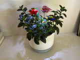 Fish - Glass - Set Of Three- House Plant Stakes