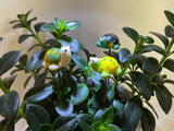 Turtles - Glass - Set Of Three- House Plant Stakes