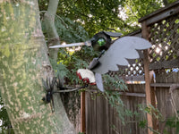 Cabinet Knob - Woodpecker - Metal Garden Sculpture by Bandana Yardbirds