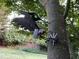 Cabinet Knob - Woodpecker - Metal Garden Sculpture by Bandana Yardbirds