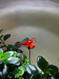 Angler Fish Red - Blown-Glass -House Plant Stake