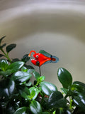 Angler Fish Red - Blown-Glass -House Plant Stake