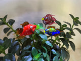 Fish - Glass - Set Of Three- House Plant Stakes