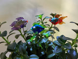 Fish - Glass - Set Of Three- House Plant Stakes