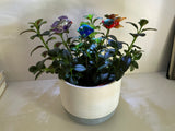 Fish - Glass - Set Of Three- House Plant Stakes