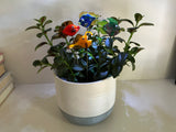 Fish - Glass - Set Of Four - House Plant Stakes