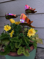 Butterfly Small Set Of Three - Copper Sculpture by Haw Creek Forge