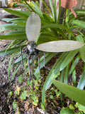 Mosquito, Garden Sculpture by Artist Fred Conlon of Sugarpost