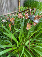 Leaping Frog - Copper Sculpture by Haw Creek Forge