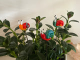 Snail Glass - Set Of Three - House Plant Stake