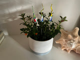 Gnome Glass - Set Of Three - House Plant Stake