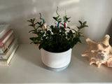 Gnome Glass - Set Of Three - House Plant Stake