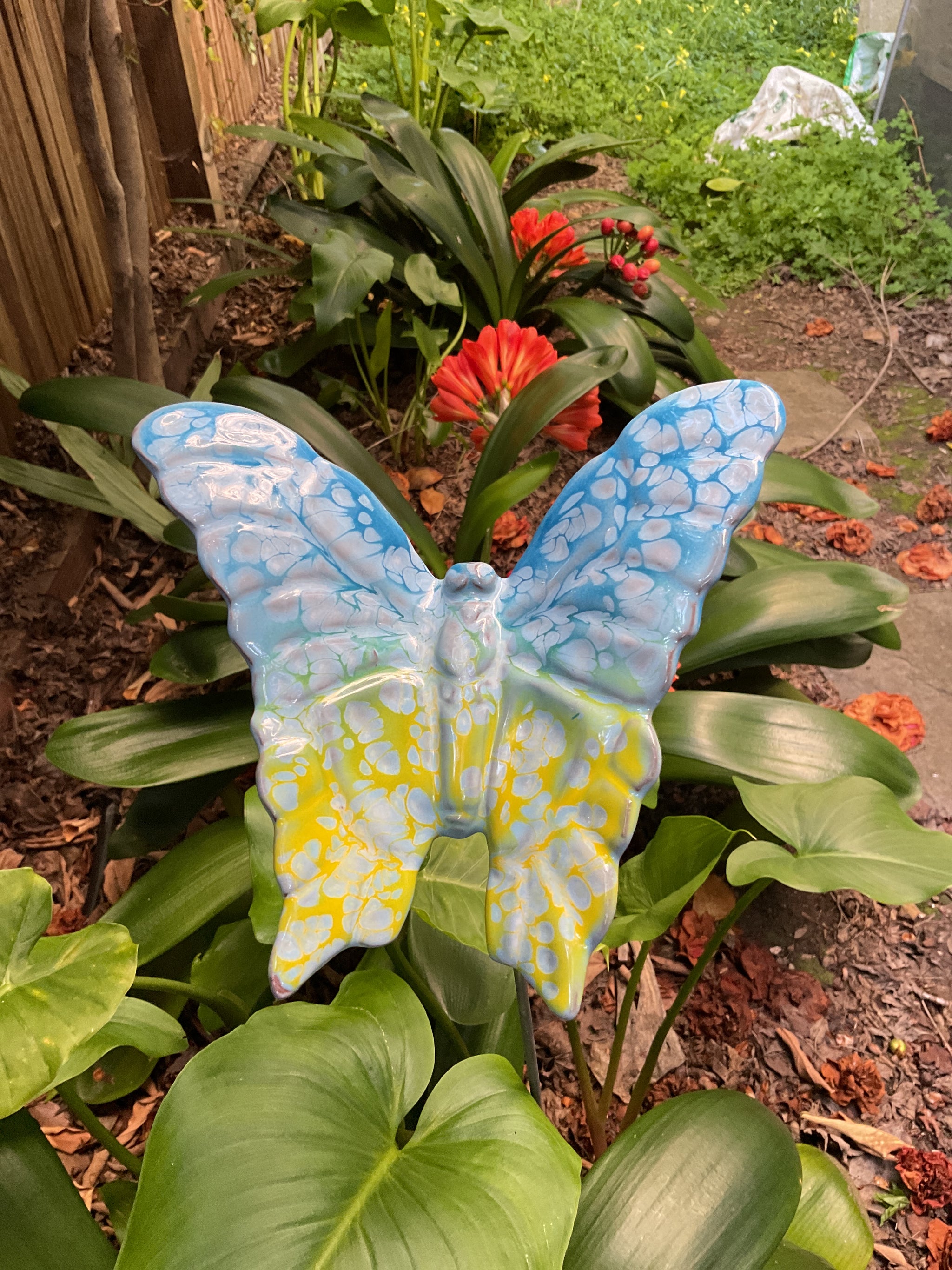 Butterfly, Large, Ceramic, blue and yellow by JJ Potts – GardenArt.com