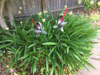 Venus Fly Trap Garden Sculpture by Artist Fred Conlon of Sugarpost