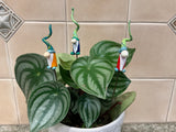 Gnome Glass - Set Of Three - House Plant Stake