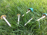 Shroomyz Ceramic Mushrooms, by JJ Potts #17