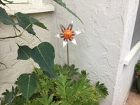 Flower - Blown Glass - Red