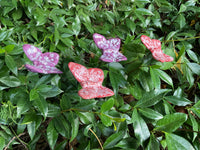 Butterflies, Small, Ceramic, Set Of Four by JJ Potts