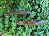 Trout - Brown, Ceramic Fish Garden Sculpture by JJ Potts