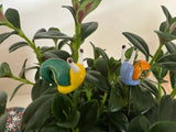 Snail Glass - Set Of Two -House Plant Stake
