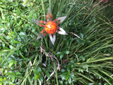 Flower - Blown Glass - Red