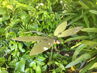 Dragonfly, Garden Sculpture by Artist Fred Conlon of Sugarpost