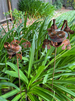 Leaping Frog - Copper Sculpture by Haw Creek Forge