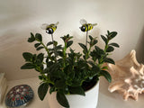 Bee Blown-Glass -House Plant Stake