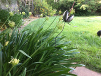 Venus Fly Trap Garden Sculpture by Artist Fred Conlon of Sugarpost