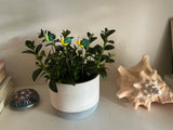 Snail Glass - Set Of Three - House Plant Stake