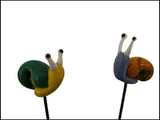snail