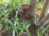 Climbing Cat Metal Sculpture by Henry Dupere