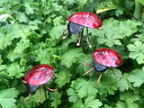 Lady Bug - Copper Sculpture by Haw Creek Forge