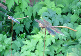 Dragonfly Copper Sculpture by Haw Creek Forge