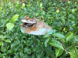 Frog On Lilly Pad - Copper Sculpture by Haw Creek Forge