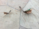 Praying Mantis Copper Sculpture by Haw Creek Forge