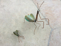 Praying Mantis Copper Sculpture by Haw Creek Forge