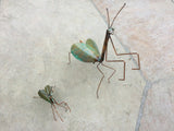 Praying Mantis Copper Sculpture by Haw Creek Forge