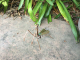 Praying Mantis Copper Sculpture by Haw Creek Forge