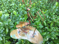 Praying Mantis On Leaf Copper Sculpture by Haw Creek Forge